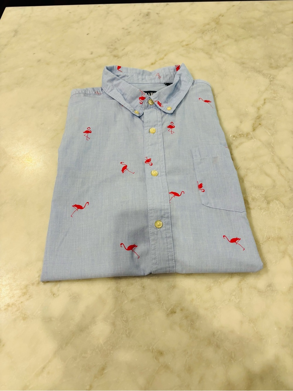 💚$5 Deals- Light Blue Men's Button-Down Shirt with Red Flamingo Print